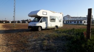 20170125_095258 (500x281)