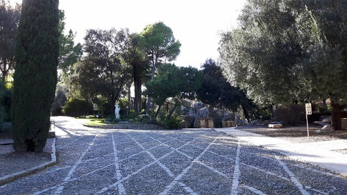 20170127_161254 (500x281)